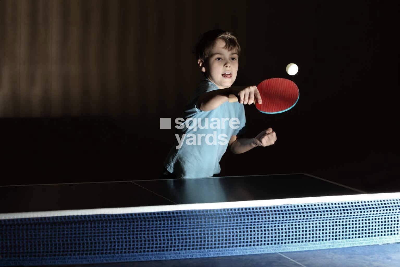 Integrated Ramicon Amenities-Features 5