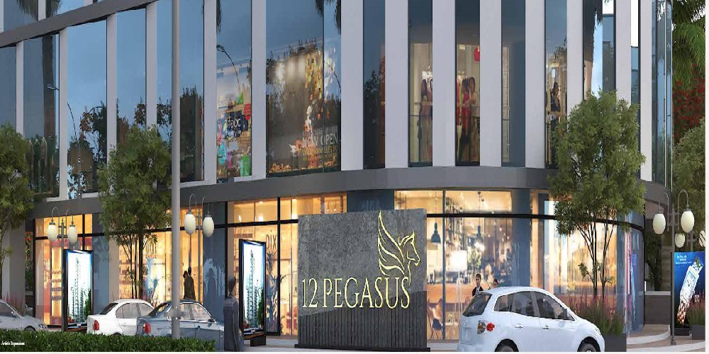 Jayant 12 Pegasus Amenities Features