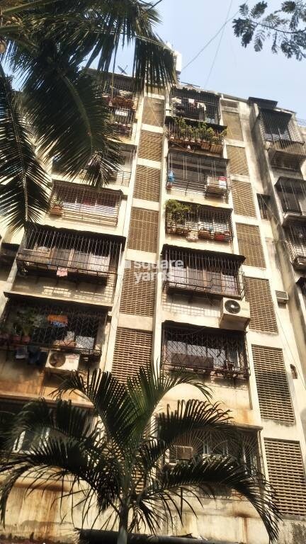 Jaycee Karan Tower View