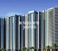 Jaycee Savannah Tower View
