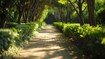 Kabra Residency Park Amenities Features