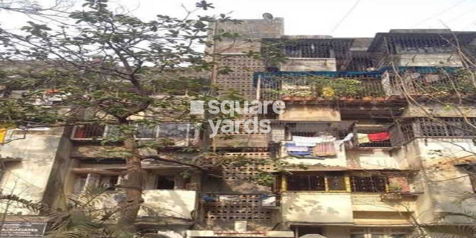 Kailash AP Apartment