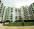 Kalpataru Shravasti