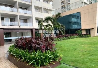 Representative image as actual visual unavailable for Kamala Garden Groove