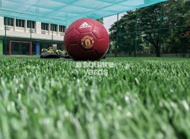 Representative image as actual visual unavailable for Kamala Garden Groove