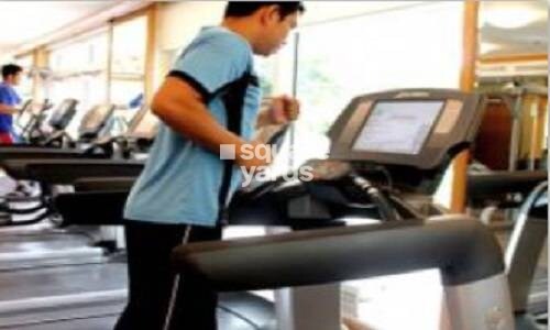 Karmvir Avant Western Woods