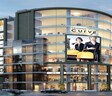 Krishna Curve