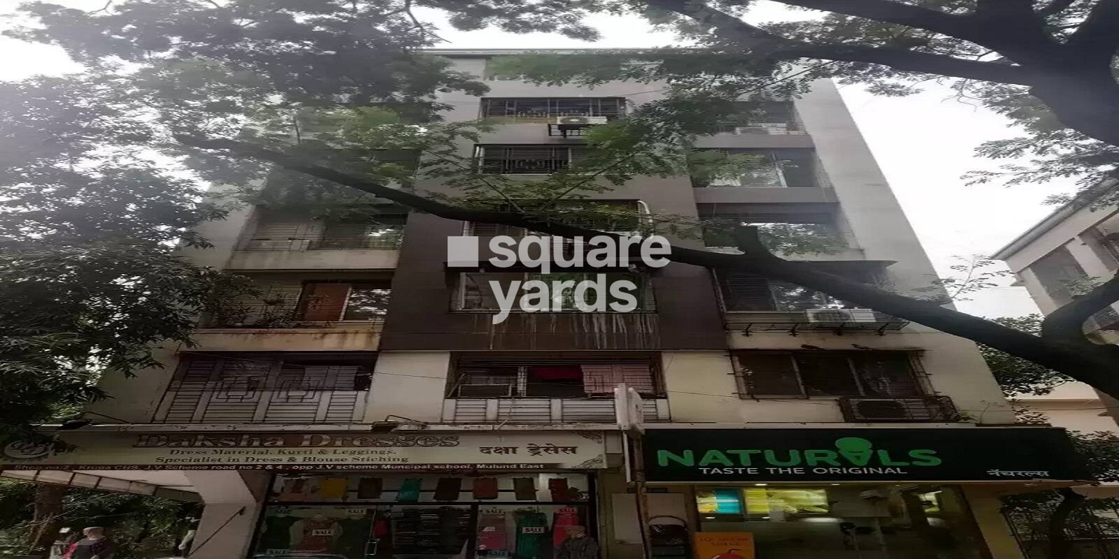 Krupa CHS Cover Image