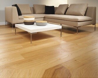 Kshitij Vivanta Apartment Interiors