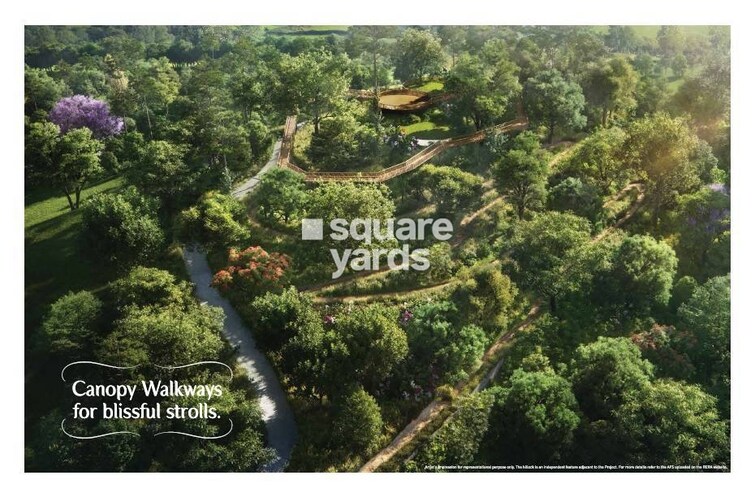 LnT Elixir Reserve Greens Image 1