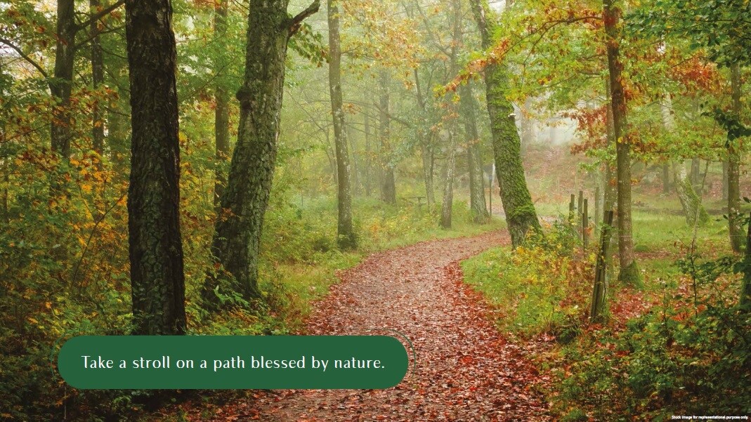 LnT Elixir Reserve Greens Image 2