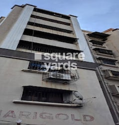 Mari Gold Avenue Mari Gold Avenue