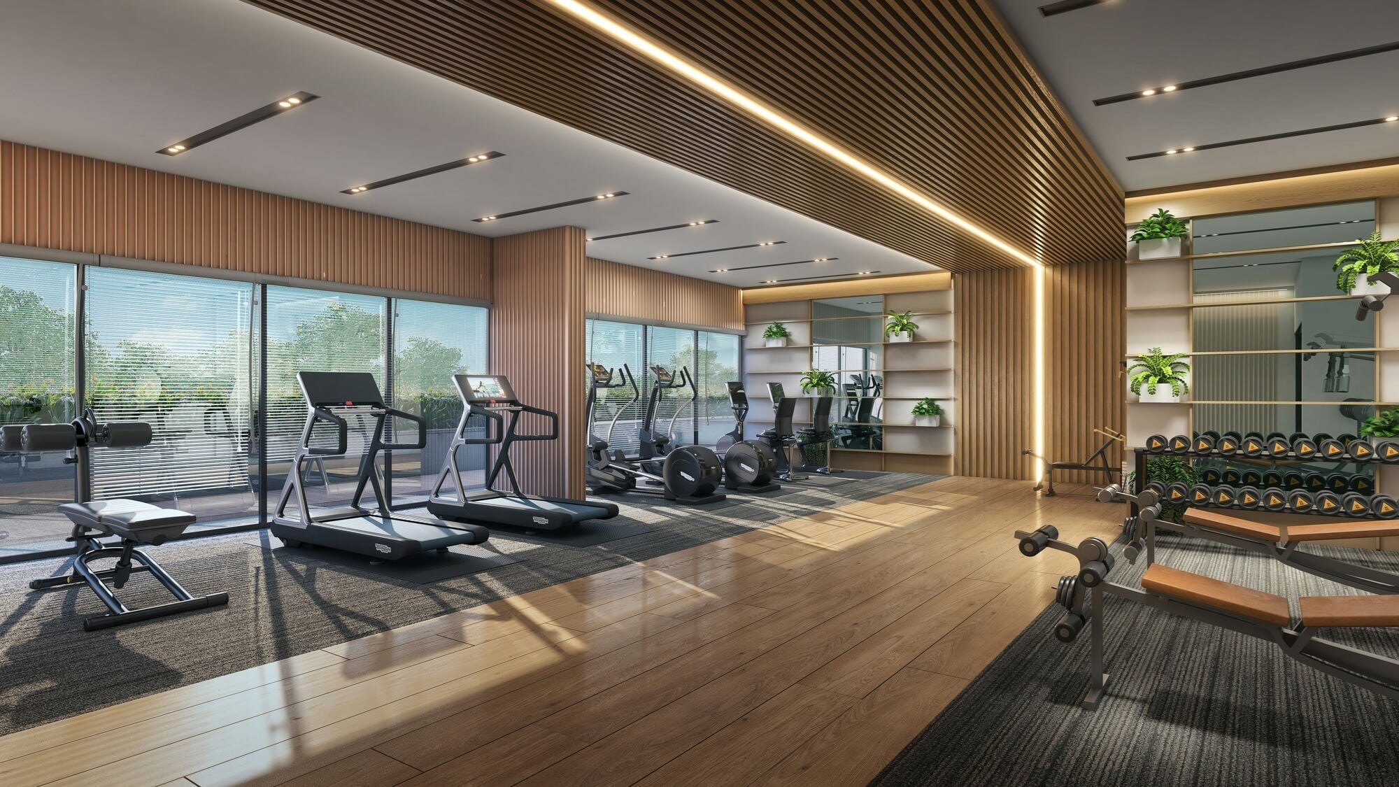 Mesacon Crown Gymnasium Image