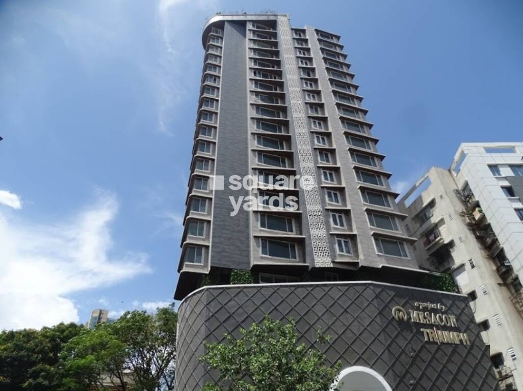 Mesacon The South Bay