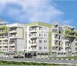 Mittal Palm Beach