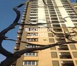 Morarjee Mill Compound