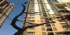 Morarjee Mill Compound