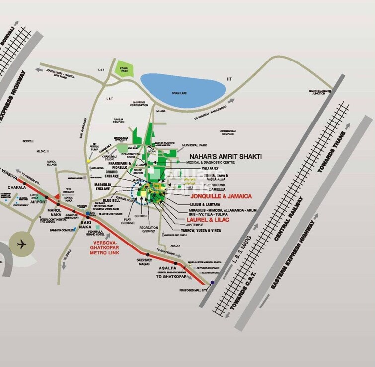 Nahar Jonquille And Jamaica Location Image