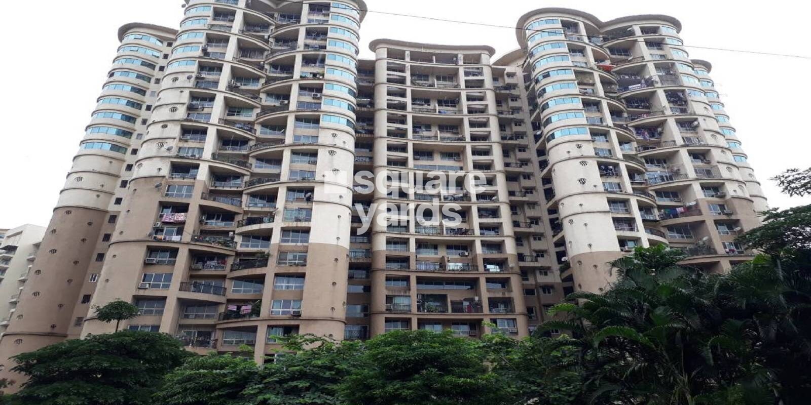 nahar-jonquille-and-jamaica