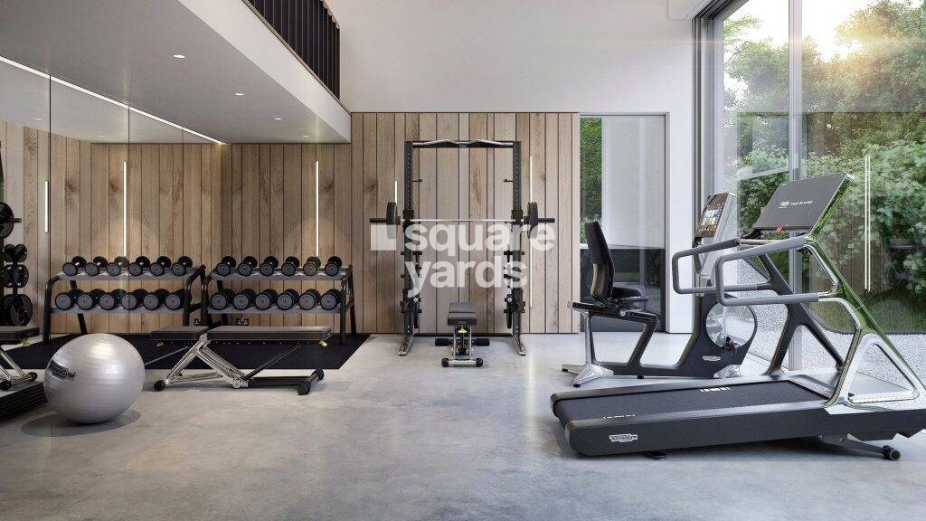 Natasha Atlantis Gymnasium Image