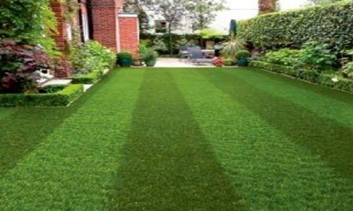 Neelyog Aashiyana Amenities-Features