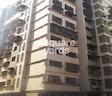 NG Complex