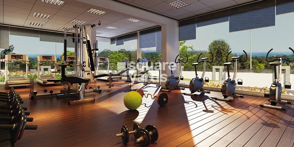 Nivan Apartments Gymnasium Image