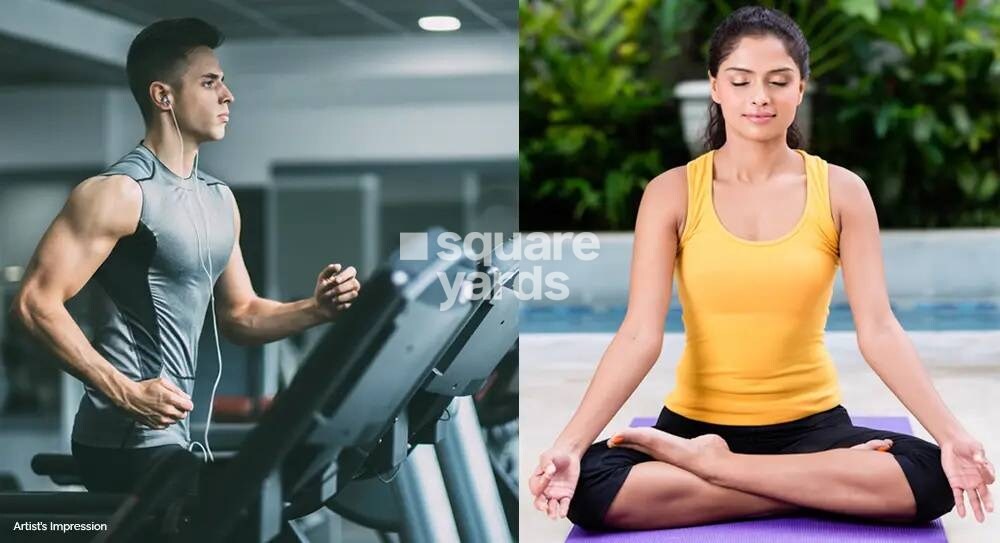 North Star Amenities-Features