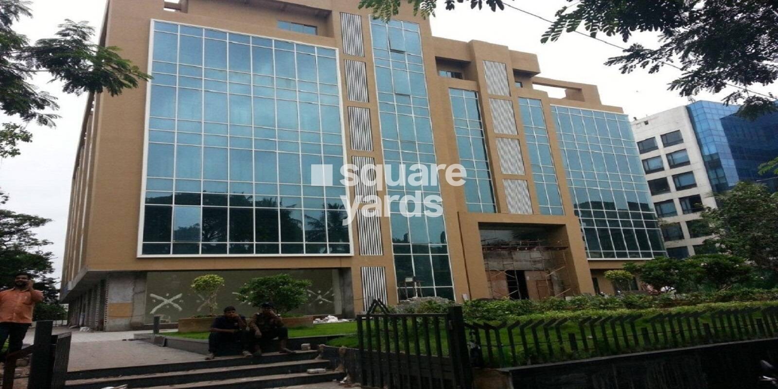 Options Primo Featured Image