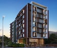 Orange Titanium Rajshree