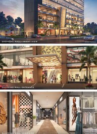 Ornate Solitaire Amenities-Features