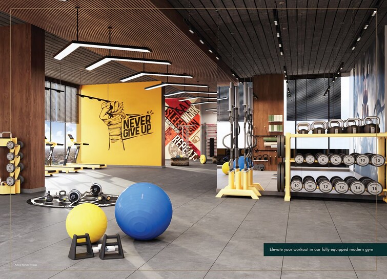 Paradigm Anantaara Gymnasium Image