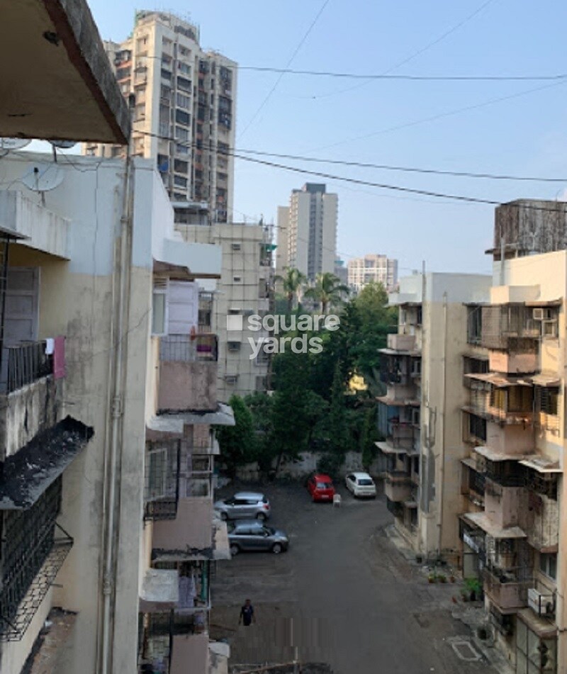 Paradise Apartments Tower View