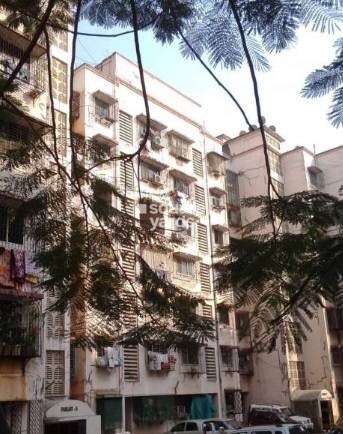 Parijat A Apartment Tower View