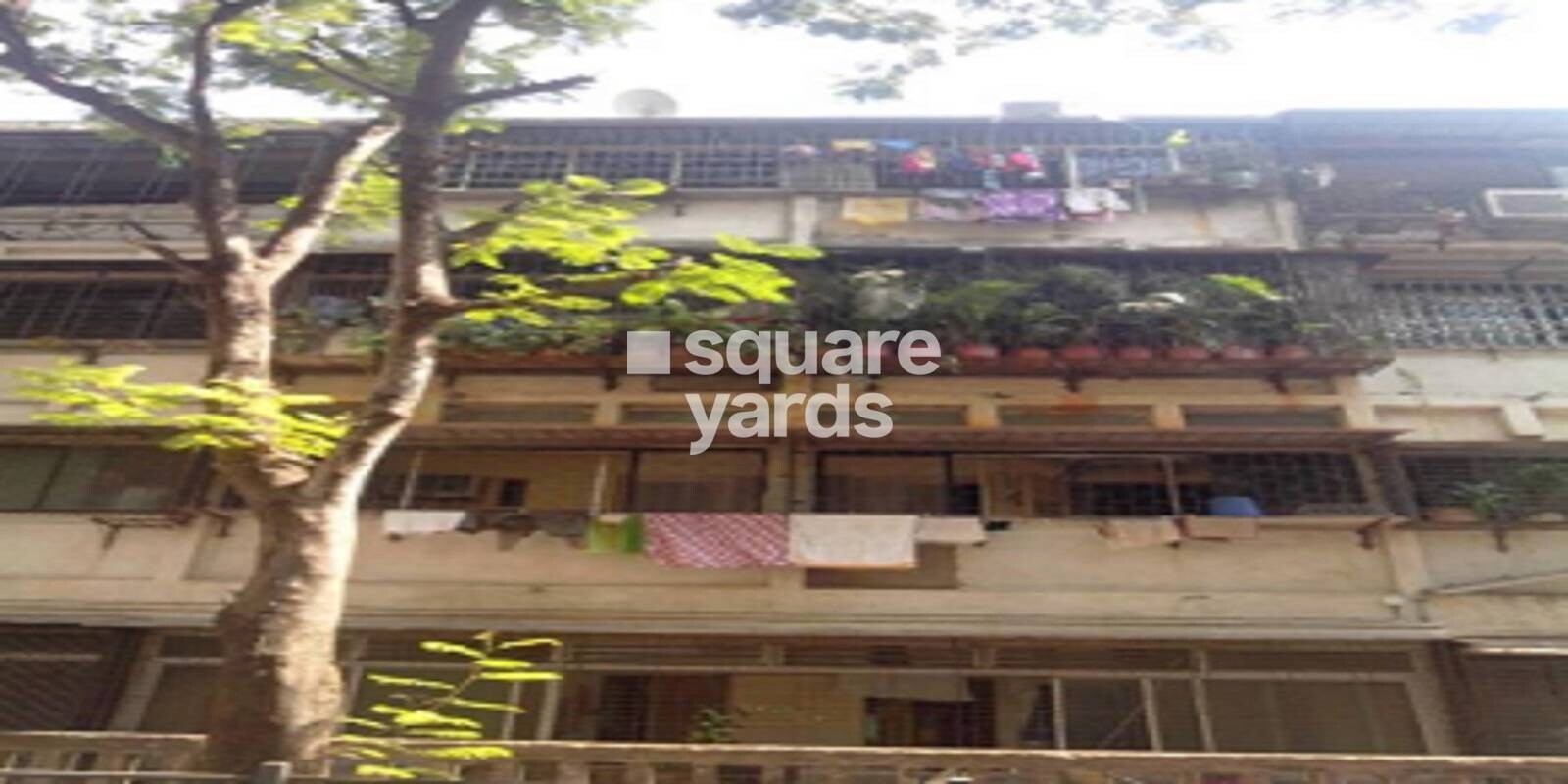 Perna Perm Milan CHS