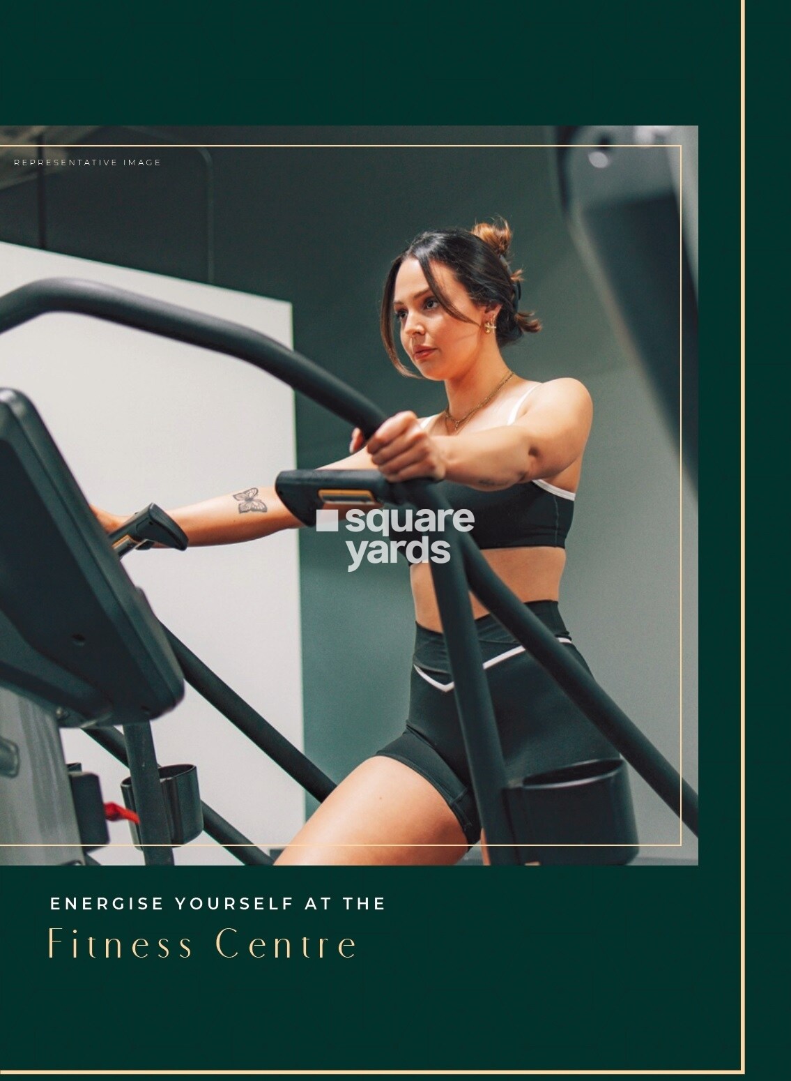 Pittie Paradise Gymnasium Image