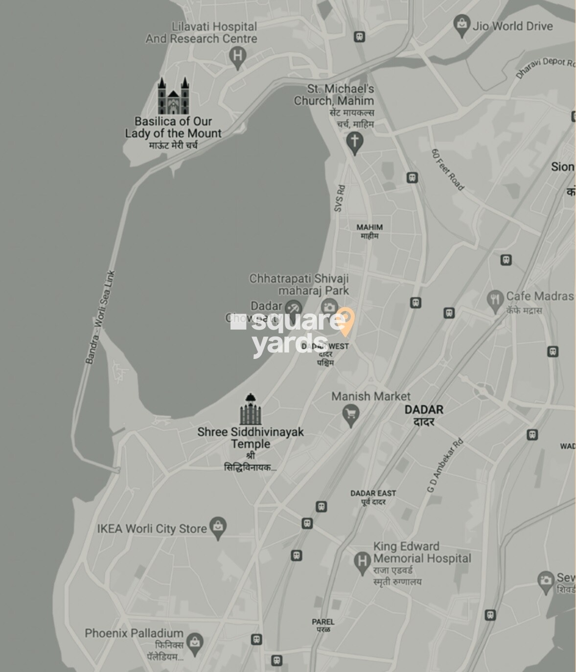 Pittie Paradise Location Image