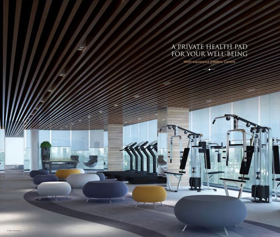 Platinum Vibe Gymnasium Image
