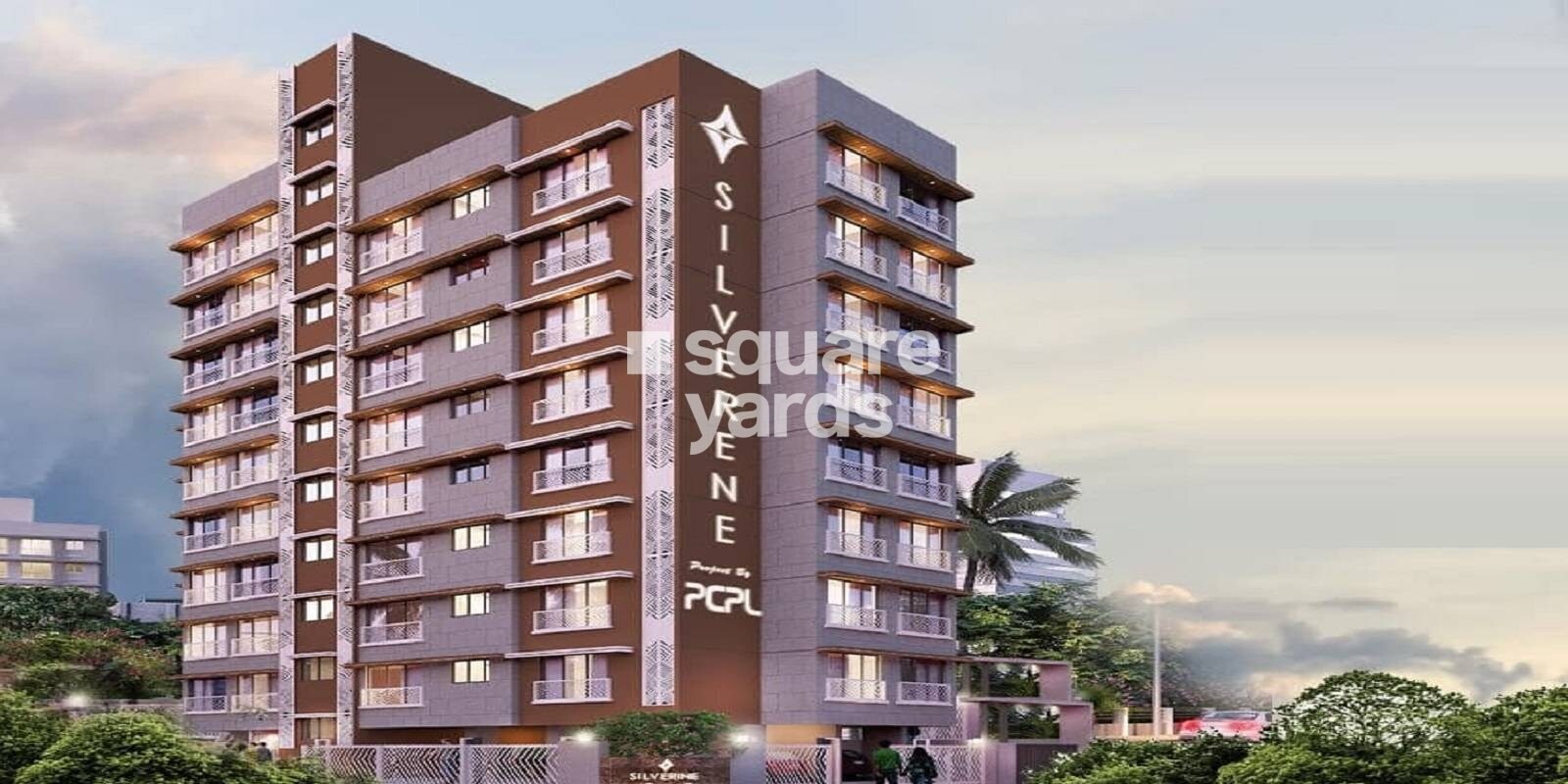 pranav-silverene-chs