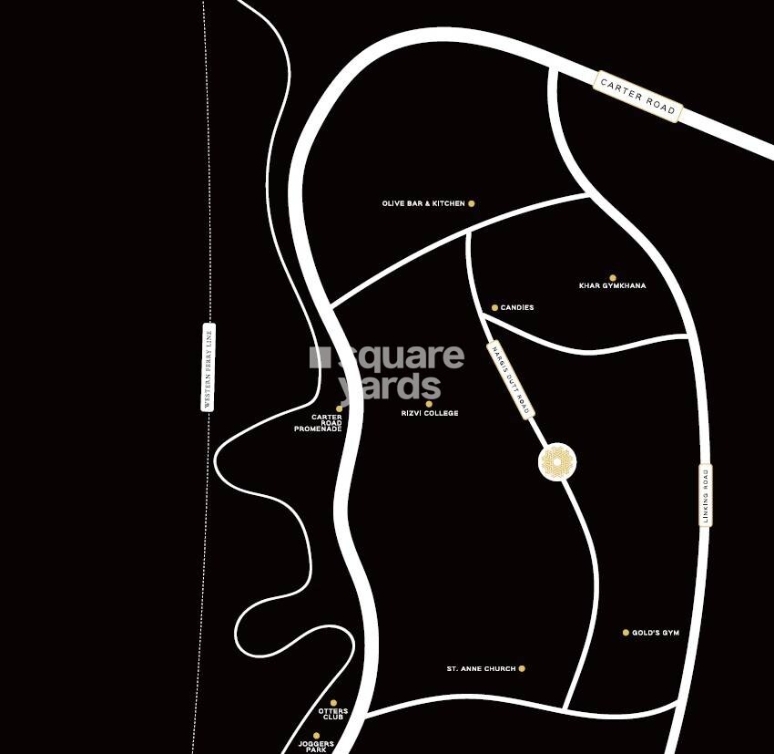 Prestige Daffodils CHS
