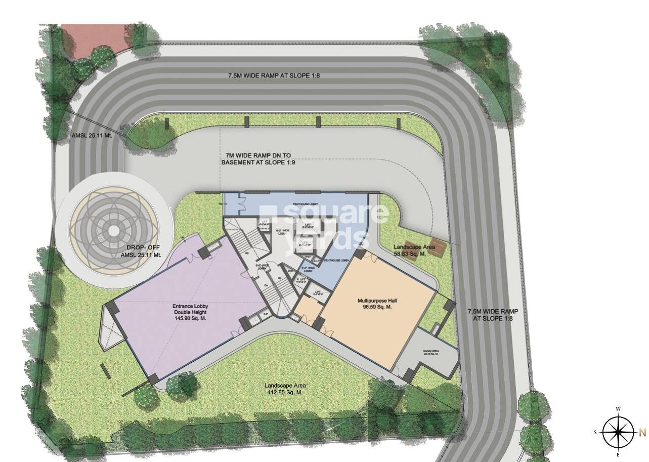Prestige Daffodils CHS