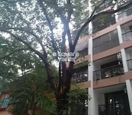 Pushparaj CHS Tower View