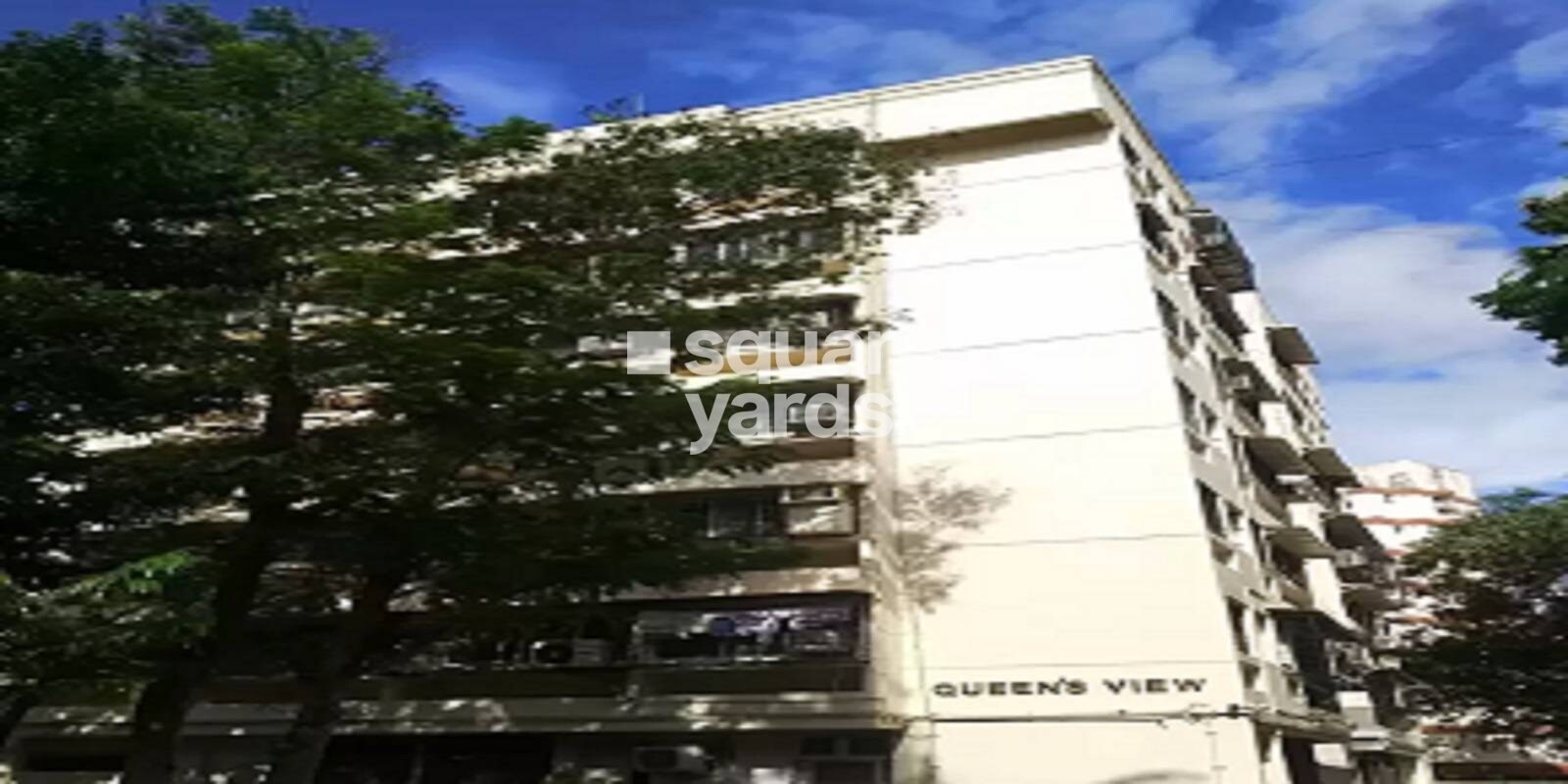 Queens View Cover Image