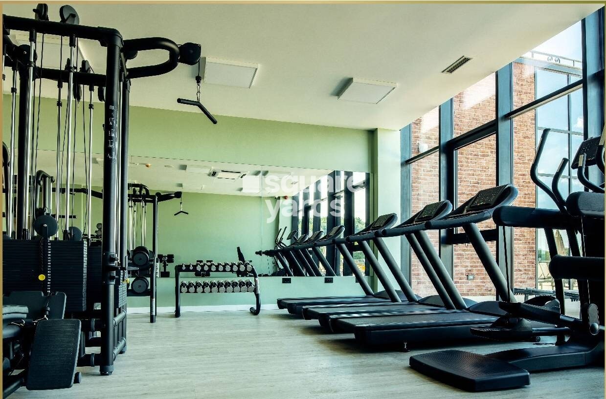 Relliance Lashkaria Solitaire