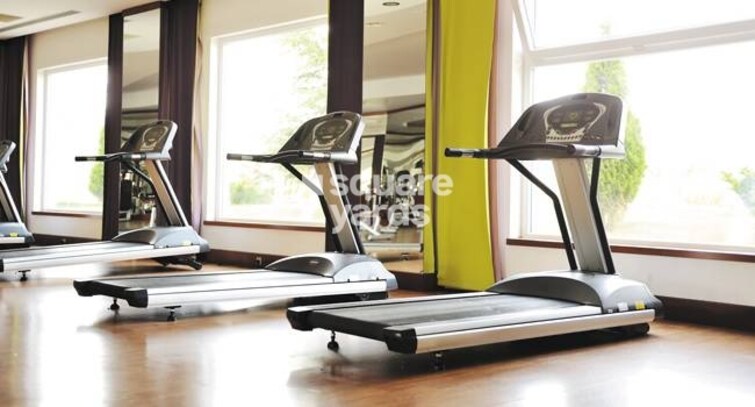 Remi Commercio Gymnasium Image