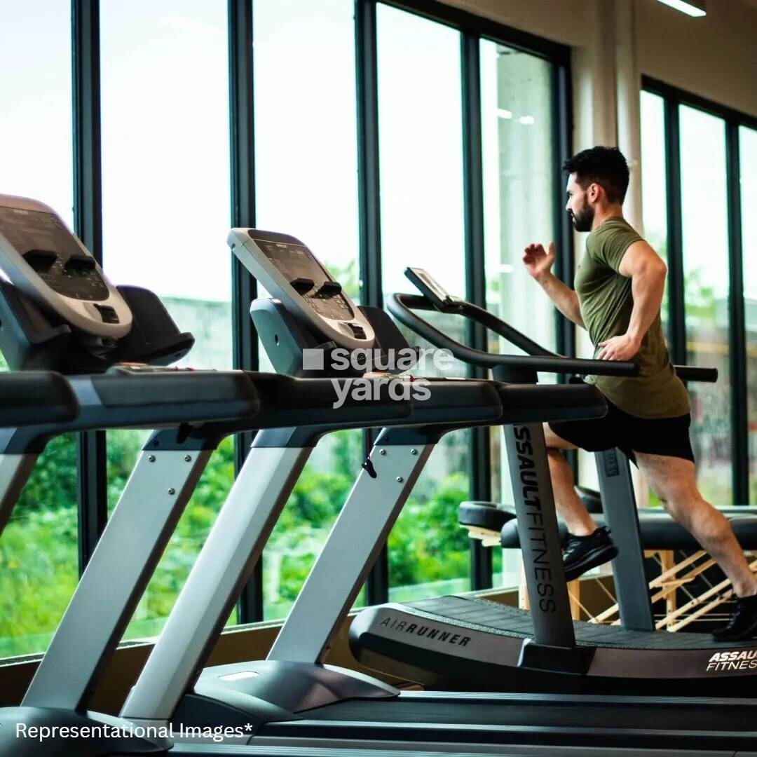 Renaissance Spring Meadows