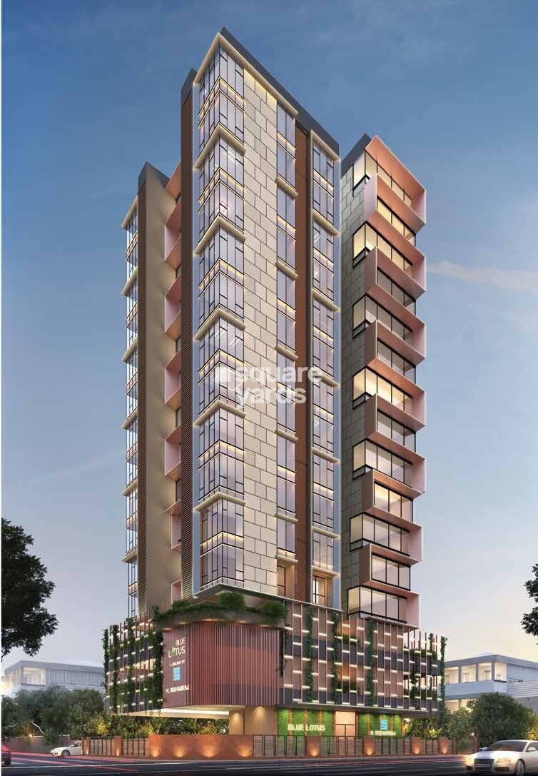 Rishabraj Blue Lotus