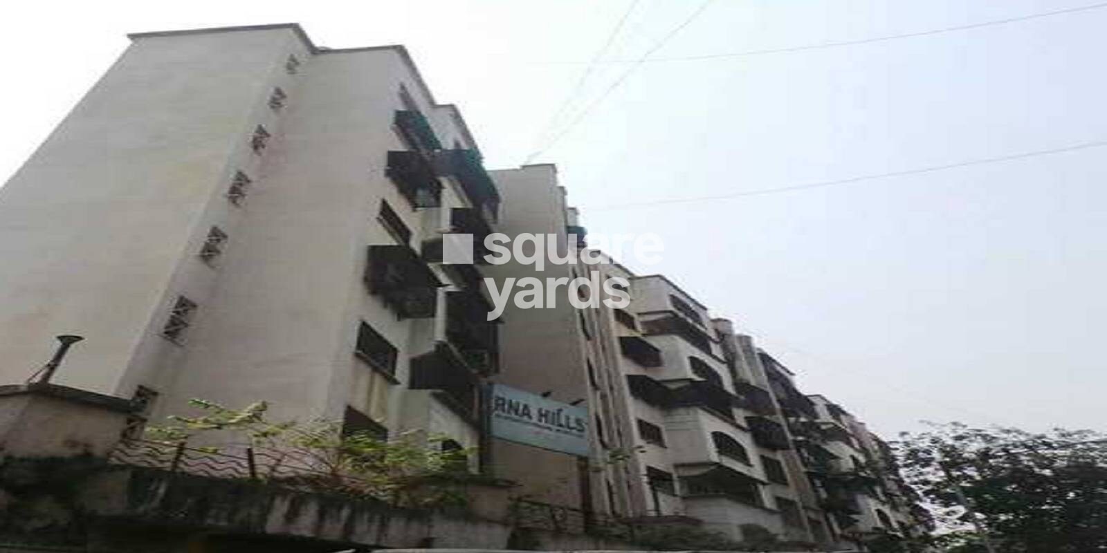 RNA Corp Hills