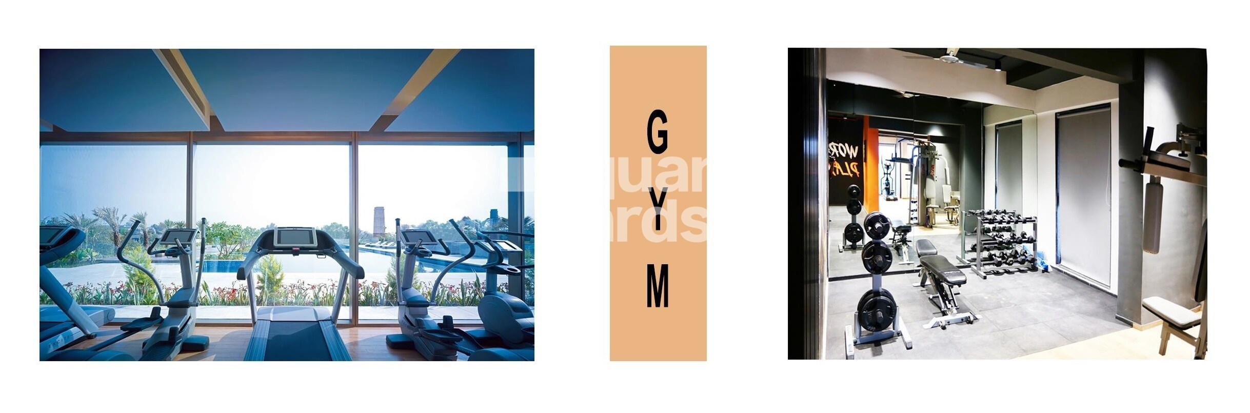 Rodium X One Gymnasium Image