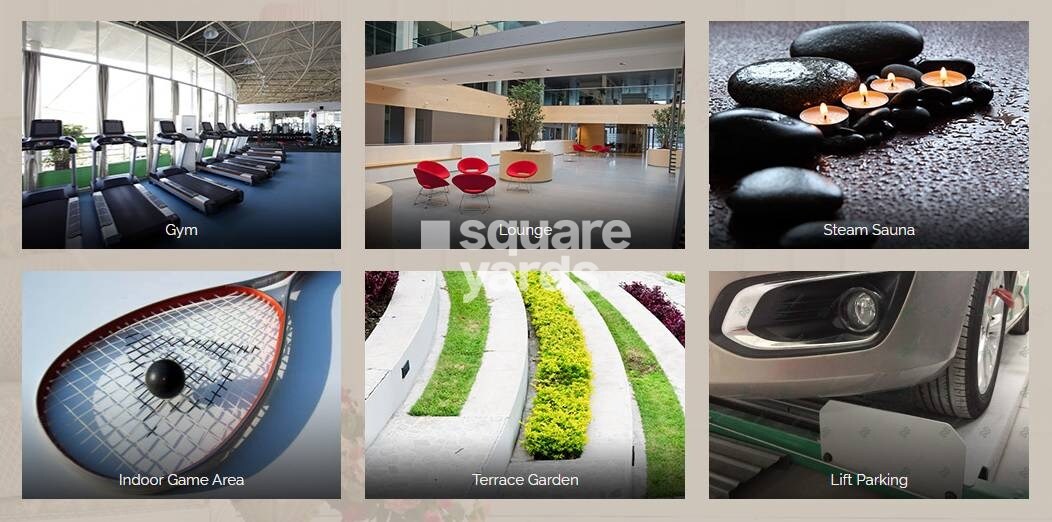 Rohan Lifescapes Aashiana Amenities-Features